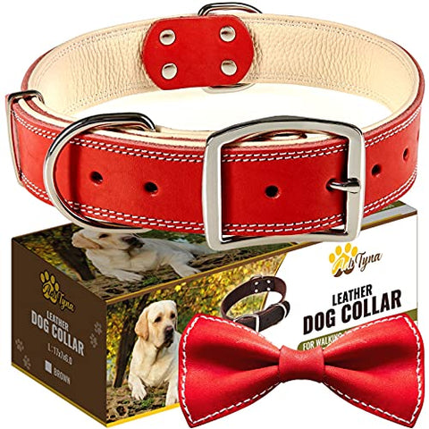 ADITYNA Padded Leather Dog Collar – Heavy Duty Red Dog Collars – Soft and Strong Dog Collars for Large Dogs