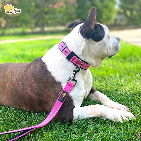 Adityna - Dog Collar for Small Dogs - Pink Dog Collars for Puppy Girls - Reflective Threads and Soft Padding