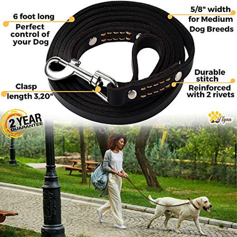 ADITYNA Leather Dog Leash 6 Foot - Soft and Strong Leather Leash for Small and Medium Dog (6 ft x 5/8", Black)