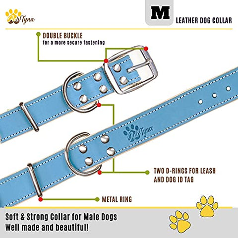 ADITYNA Padded Leather Dog Collar – Boy Dog Collars – Blue Dog Collars for Medium Male Dogs