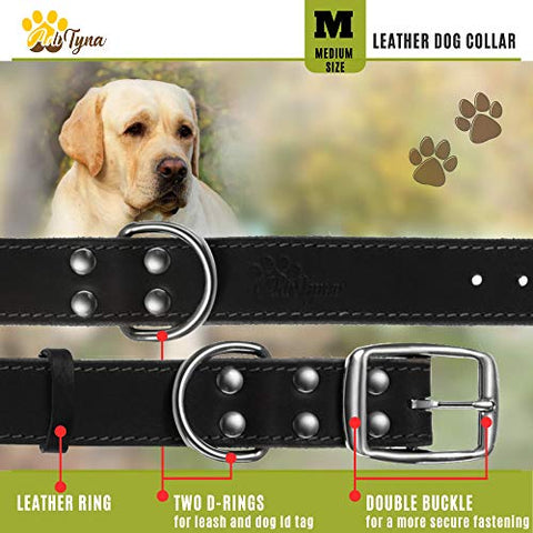 ADITYNA Leather Dog Collar for Medium Dogs - Heavy Duty Wide Dog Collars (M: 1,2" Width / 13"- 20" Length, Black)