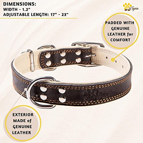 ADITYNA Premium Leather Dog Collar for Large Dogs - Padded with 100% Genuine Leather - Soft and Strong Black Dog Collars (Black, L)