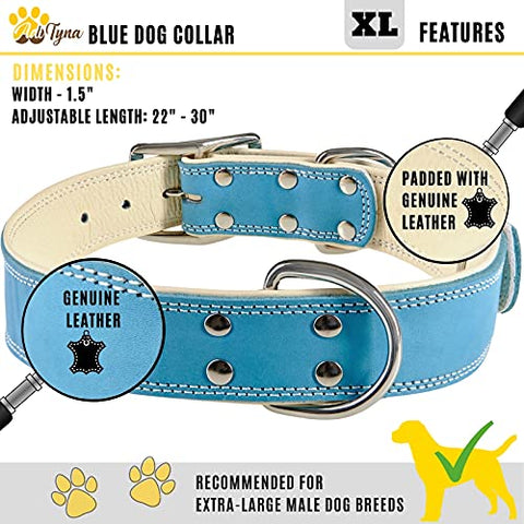 ADITYNA Padded Leather Dog Collar – Boy Dog Collars – Blue Dog Collars for Extra-Large Male Dogs