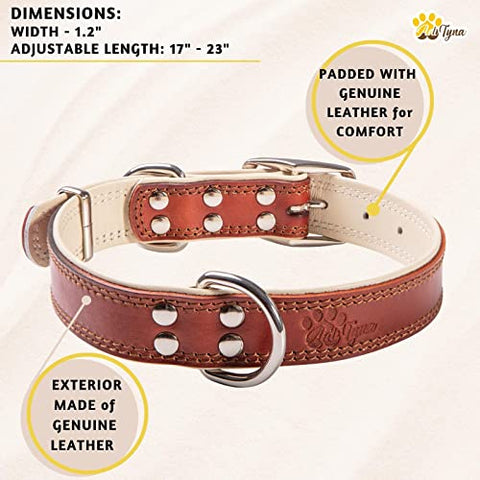 ADITYNA Premium Leather Dog Collar for Large Dogs - Padded with 100% Genuine Leather - Soft and Strong Dog Collars
