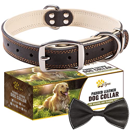 ADITYNA Premium Leather Dog Collar for Large Dogs - Padded with 100% Genuine Leather - Soft and Strong Black Dog Collars (Black, L)