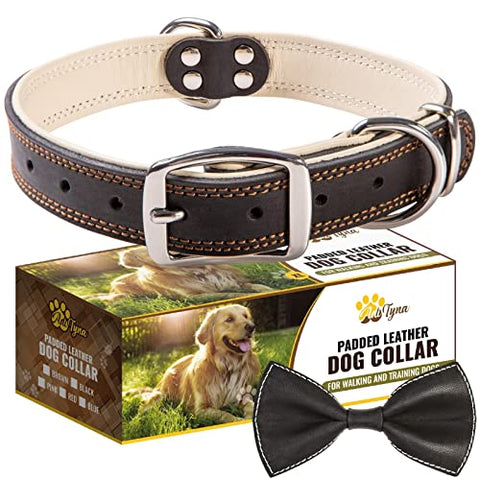 ADITYNA Premium Leather Dog Collar for Large Dogs - Padded with 100% Genuine Leather - Soft and Strong Black Dog Collars (Black, L)