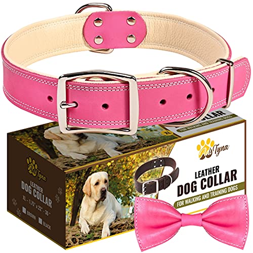 ADITYNA Padded Leather Dog Collar – Girl Dog Collars – Pink Dog Collars for Extra-Large Female Dogs