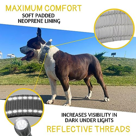 ADITYNA - Heavy-Duty Dog Collar with Handle - Reflective Gray Dog Collar for Large Dogs - Wide, Thick, Tactical, Soft Padded
