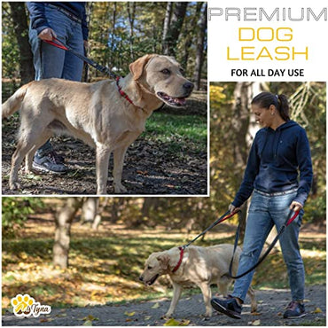 Adityna - Comfortable Dog Leash for Small, Medium, Large Dog Breeds - Double Handle Padded with Ultra Soft Neoprene