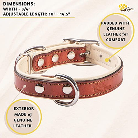 ADITYNA Premium Leather Dog Collar for Small Dogs - Padded with 100% Genuine Leather - Soft and Strong Dog Collars