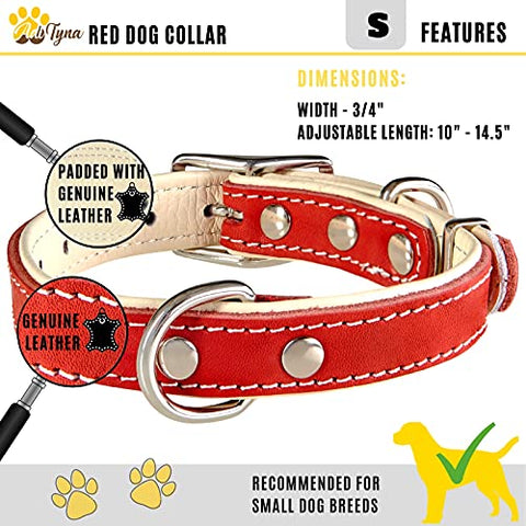 ADITYNA Padded Leather Dog Collar – Heavy Duty Red Dog Collars – Soft and Strong Dog Collars for Small Dogs