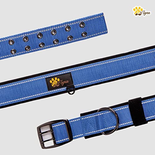 ADITYNA Padded Leather Dog Collar – Boy Dog Collars – Blue Dog