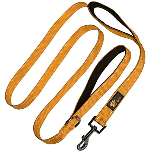 Adityna - Comfortable Dog Leash for Small, Medium, Large Dog Breeds - Double Handle Padded with Ultra Soft Neoprene