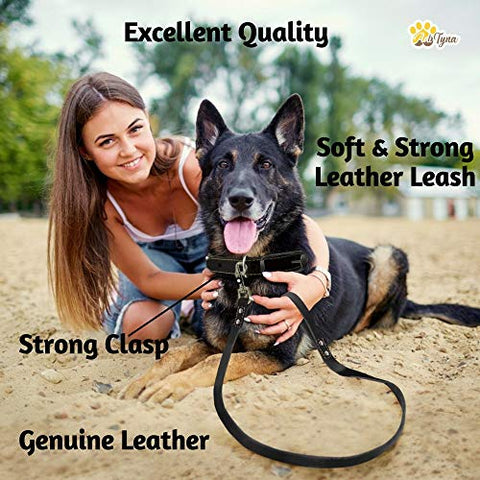 Leather Dog Leash 6 Foot x 3/4 inch - Strong and Soft Leather Leash for Large and Medium Dogs - Dog Training Leash (Black)