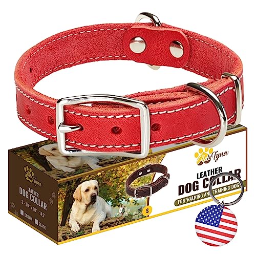 Heavy Duty Red Leather Dog Collar for Small Dogs- Soft and Strong Dog Collar for Puppy or Small Dogs (Small: Fit 10" - 14.5" Neck, Red)