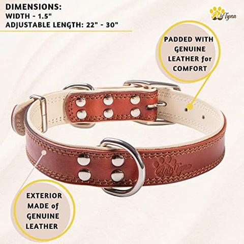 ADITYNA Premium Leather Dog Collar for Extra Large Dogs - Padded with 100% Genuine Leather - Soft and Strong XL Dog Collar