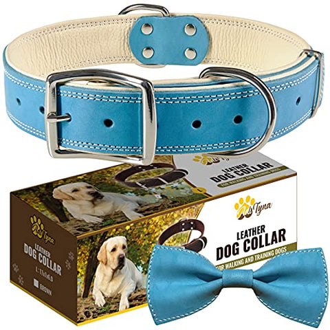 ADITYNA Padded Leather Dog Collar – Boy Dog Collars – Blue Dog Collars for Large Male Dogs