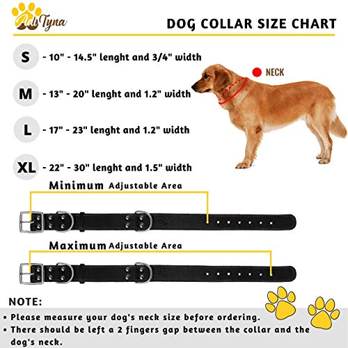Dog Collar - Medium