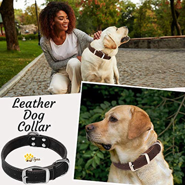 ADITYNA Leather Dog Collar for Puppy and Small Dogs - Heavy Duty Dog Collars (S: ¾ Width / 10"- 14,5" Length, Black)