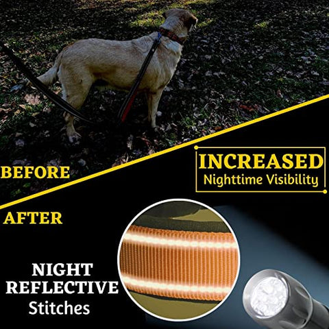 Adityna - Comfortable Dog Leash for Small, Medium, Large Dog Breeds - Double Handle Padded with Ultra Soft Neoprene