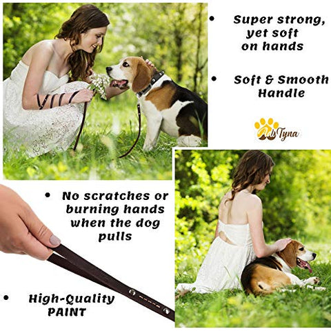 ADITYNA Leather Dog Leash 6 Foot - Soft and Strong Leather Leash for Small and Medium Dog (6 ft x 1/2", Brown)
