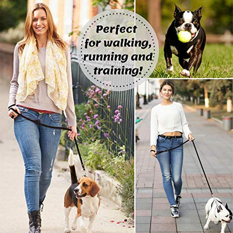 ADITYNA Leather Dog Leash 6 Foot - Soft and Strong Leather Leash for Small and Medium Dog (6 ft x 1/2", Black)