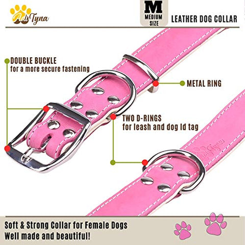 ADITYNA Padded Leather Dog Collar – Girl Dog Collars – Pink Dog Collars for Medium Female Dogs