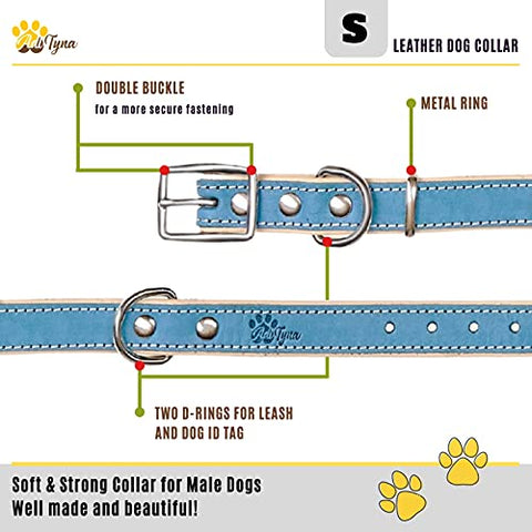 ADITYNA Padded Leather Dog Collar – Boy Dog Collars – Blue Dog Collars for Small Male Dogs