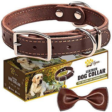 Leather Dog Collar for Puppy and Small Dogs - Heavy Duty Wide Dog Collars (S: ¾ Width / 10"- 14,5" Length, Brown)