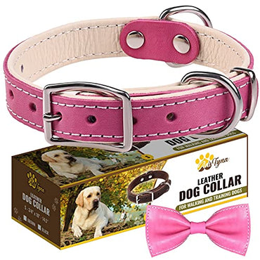 ADITYNA Padded Leather Dog Collar – Girl Dog Collars – Pink Dog Collars for Small Female Dogs