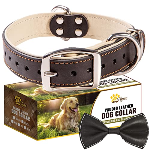 ADITYNA Premium Leather Dog Collar for Medium Dogs - Padded with 100% Genuine Leather - Soft and Strong Dog Collars (Black, M)