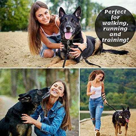 Leather Dog Leash 6 Foot x 3/4 inch - Strong and Soft Leather Leash for Large and Medium Dogs - Dog Training Leash (Black)