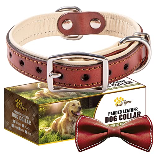 blu&ben Leather Dog Collar Soft & Durable Strong Waterproof Collars  Adjustable for Small Mudium Large Dogs Brown S
