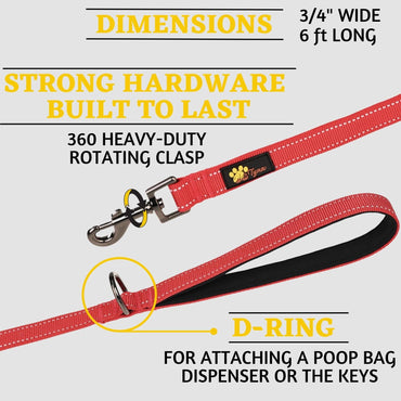 Adityna - Comfortable Dog Leash for Small, Medium, Large Dog Breeds - Double Handle Padded with Ultra Soft Neoprene