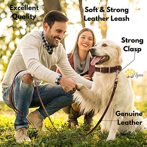 ADITYNA Leather Dog Leash 6 Foot x 3/4 inch - Soft and Strong Leather Leash for Large and Medium Dogs - Dog Training Leash (Brown)