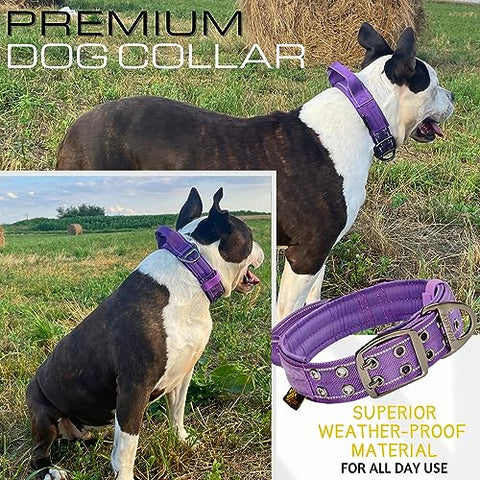 ADITYNA - Heavy-Duty Dog Collar with Handle - Reflective Purple Dog Collar for Large Dogs - Wide, Thick, Tactical, Soft Padded (Large: Fit 18-23" Neck, Purple)