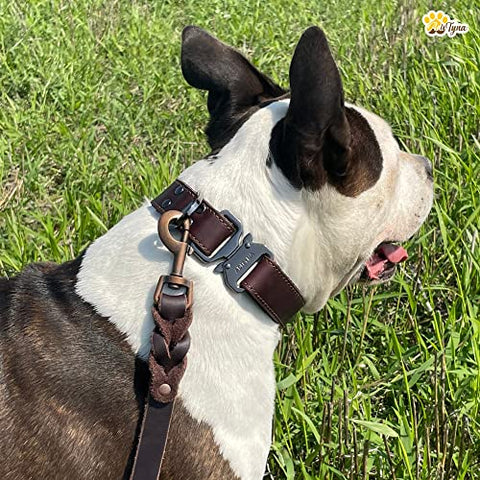 Heavy-Duty Leather Dog Leash for Medium, and Large Dogs - Soft & Strong Training Dog Leash (Brown, 5.6 ft x 3/4")