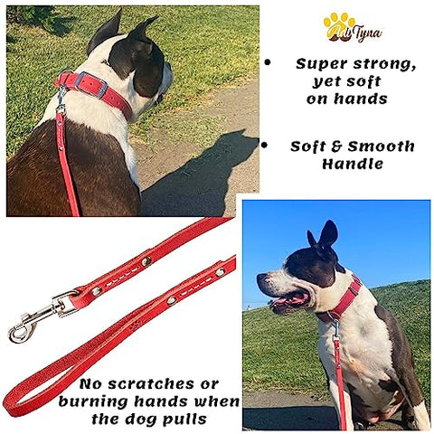 ADITYNA - Premium Leather Dog Leash - 6 ft, Heavy-Duty, Soft & Strong for Small/Medium Dogs (Small: 6 ft x 1/2", Red)