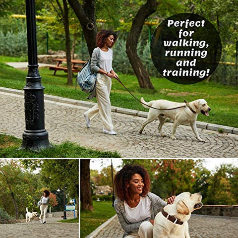 ADITYNA Leather Dog Leash 6 Foot - Soft and Strong Leather Leash for Small and Medium Dog (6 ft x 5/8", Brown)