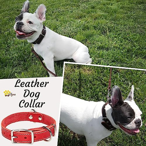Heavy Duty Red Leather Dog Collar for Small Dogs- Soft and Strong Dog Collar for Puppy or Small Dogs (Small: Fit 10" - 14.5" Neck, Red)