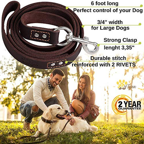 ADITYNA Leather Dog Leash 6 Foot x 3/4 inch - Soft and Strong Leather Leash for Large and Medium Dogs - Dog Training Leash (Brown)