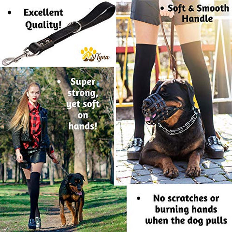 ADITYNA Short Dog Leash 15" Length x 1" Wide - Traffic Leather Dog Leash for Large and Extra-Large Dogs