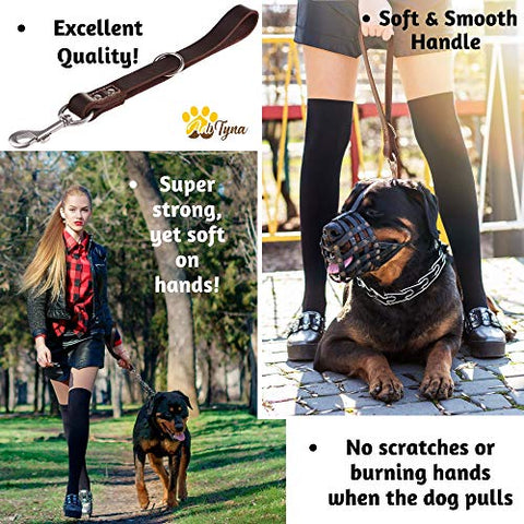 ADITYNA Short Dog Leash 15" Length x 1" Wide - Traffic Leather Dog Leash for Large and Extra-Large Dogs
