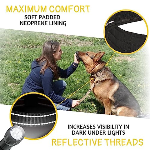 ADITYNA - 2 inch Wide Dog Collar with Handle for XXL Dogs - Big Dog Collars for Giant Breeds Such as Mastiffs, Newfoundlands, and Saint-Bernards