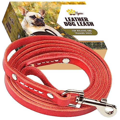 ADITYNA - Premium Leather Dog Leash - 6 ft, Heavy-Duty, Soft & Strong for Small/Medium Dogs (Small: 6 ft x 1/2", Red)
