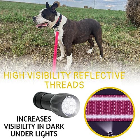 Heavy Duty Bungee Dog Leash 6 ft - 7.5 ft for Large and Medium Dogs | No Pull, Reflective, Tactical Dog Leash | Soft Neoprene Padded Double Handle (Pink)