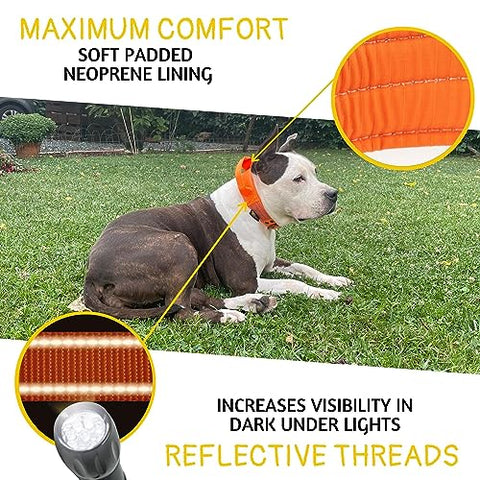 ADITYNA - Heavy-Duty Dog Collar with Handle - Reflective Gray Dog Collar for Large Dogs - Wide, Thick, Tactical, Soft Padded (Large: Fit 18-23" Neck, Orange)