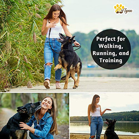 Braided Leather Dog Leash 6 ft x 3/4" - Soft and Strong Dog Leash for Large and Medium Dogs (Double Handle 6 foot x 3/4", Brown)