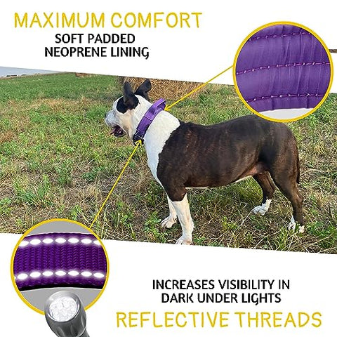 ADITYNA - Heavy-Duty Dog Collar with Handle - Reflective Purple Dog Collar for Large Dogs - Wide, Thick, Tactical, Soft Padded (Large: Fit 18-23" Neck, Purple)