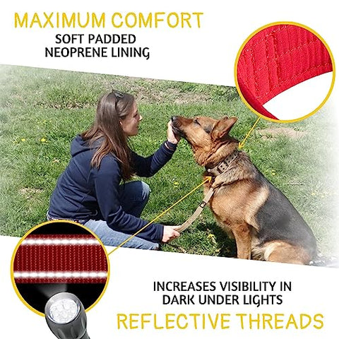 ADITYNA - 2 inch Wide Dog Collar with Handle for XXL Dogs - Big Dog Collars for Giant Breeds Such as Mastiffs, Newfoundlands, and Saint-Bernards